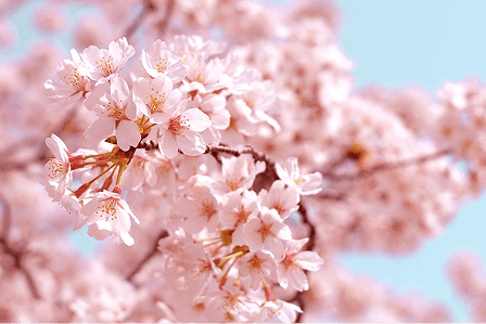 地域の名所・名物