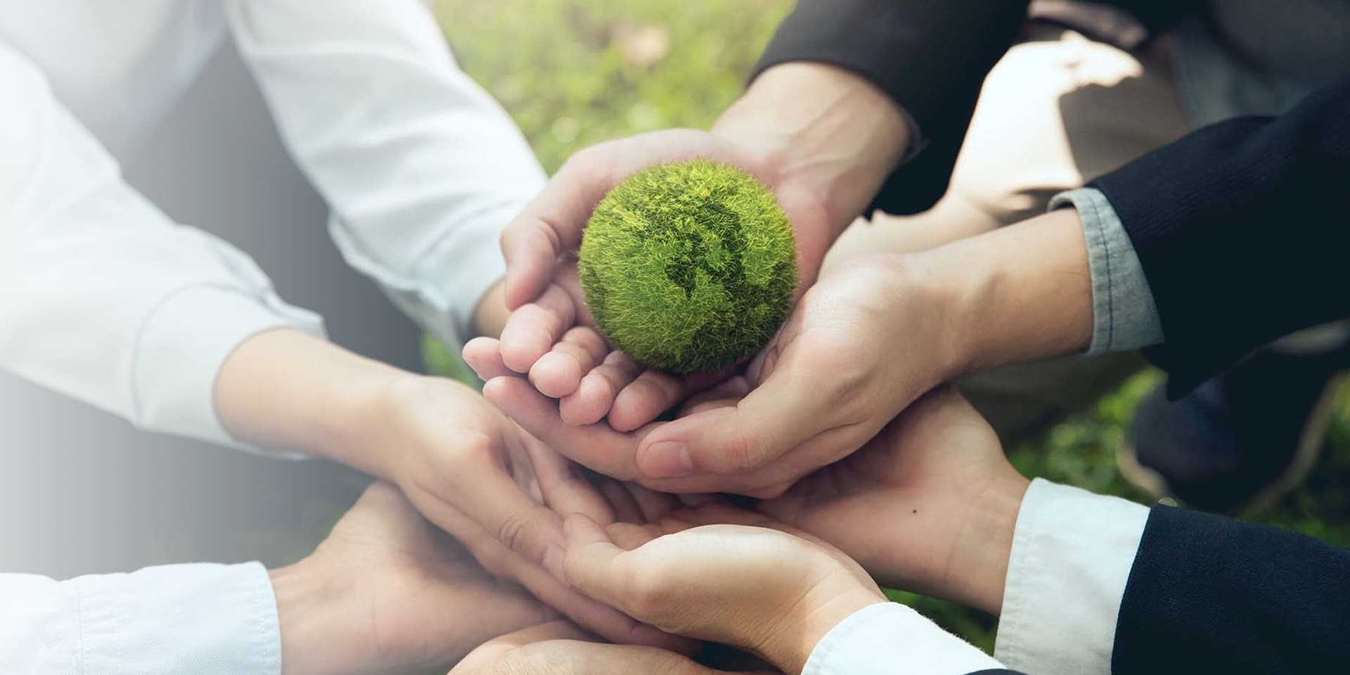 環境と地域への取り組み