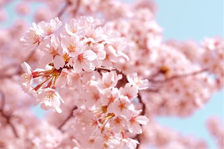 地域の名所・名物