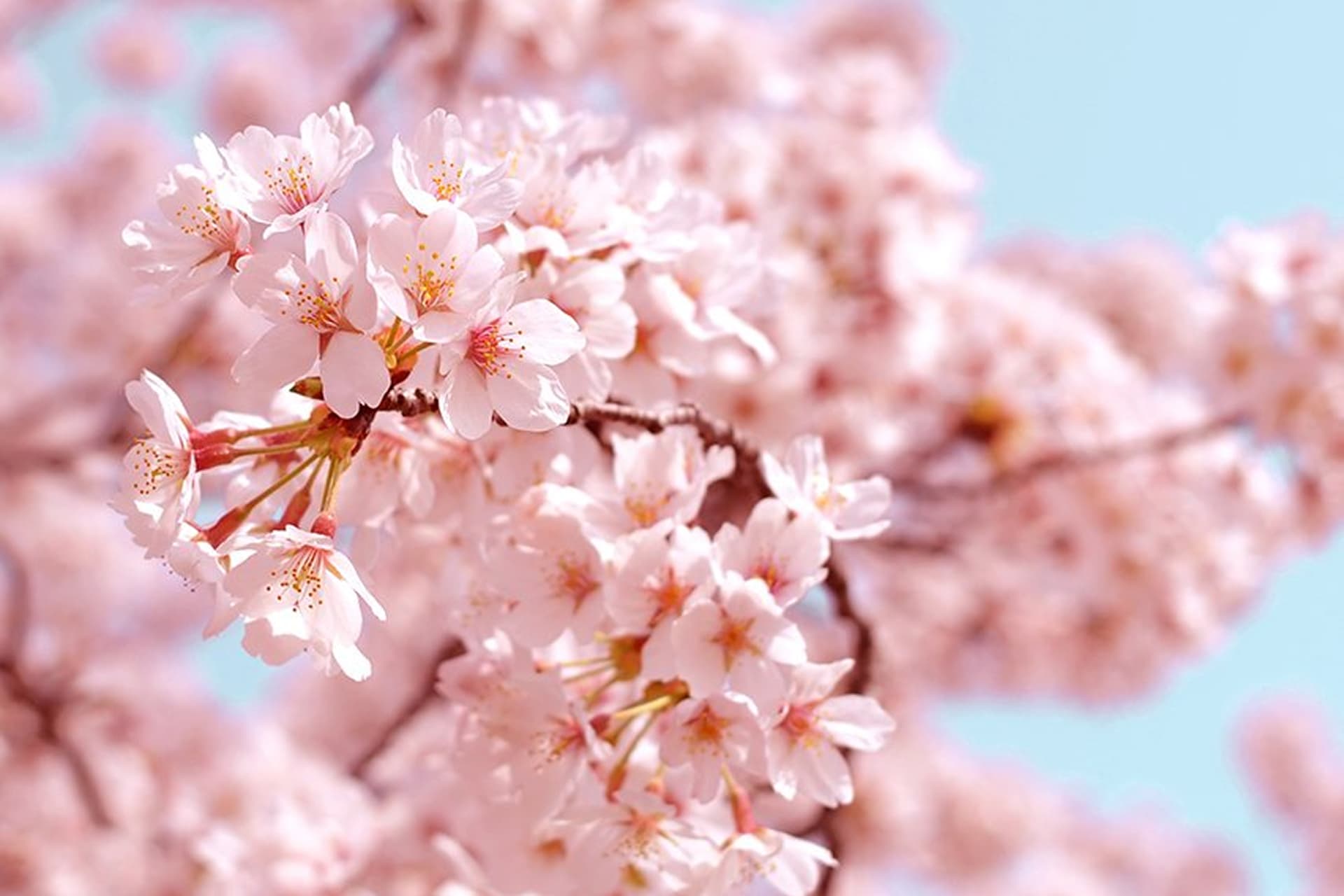 発電所付近の名所