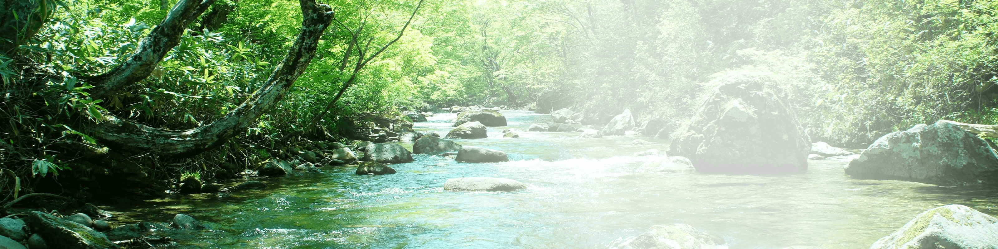 三峰川電力株式会社