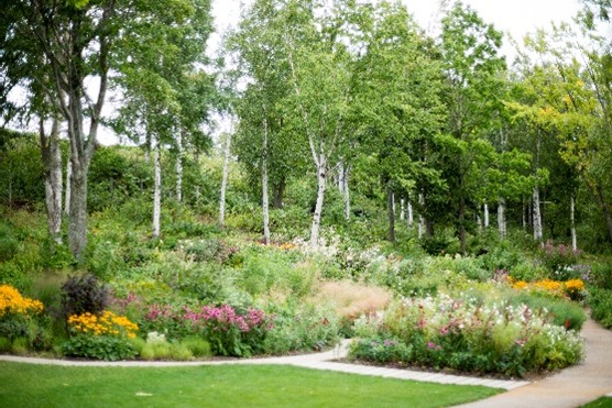 大雪 森のガーデン