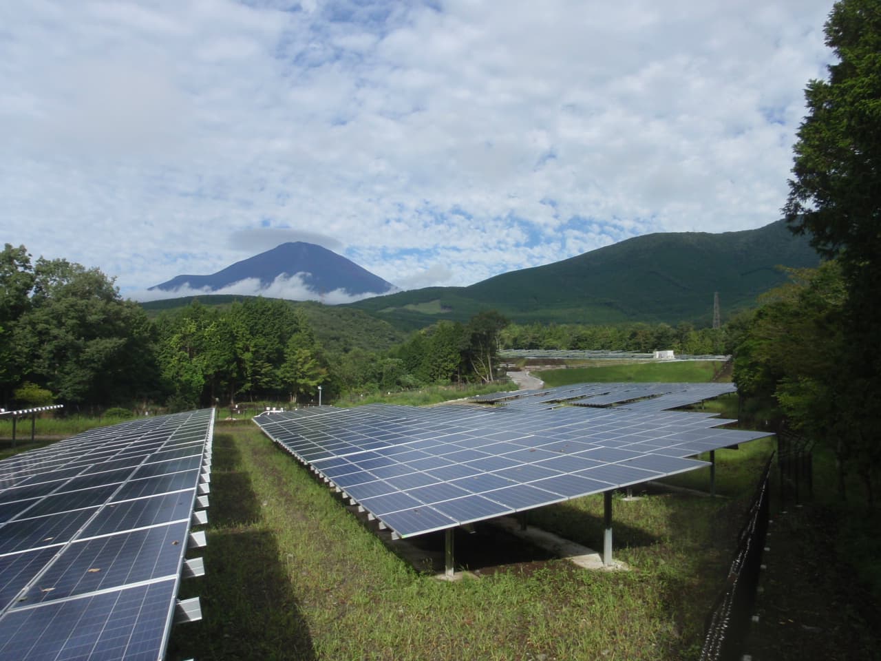 小山太陽光発電所（持分50％）