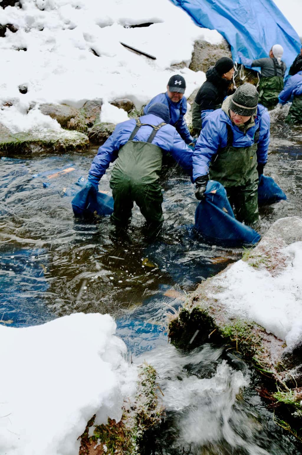 山めん寒ざらしそば